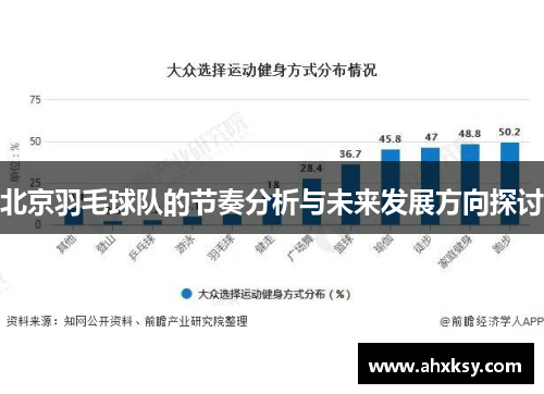 北京羽毛球队的节奏分析与未来发展方向探讨